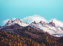 中国田径队世锦赛名单公布 巩立姣杨家玉冯彬等参赛